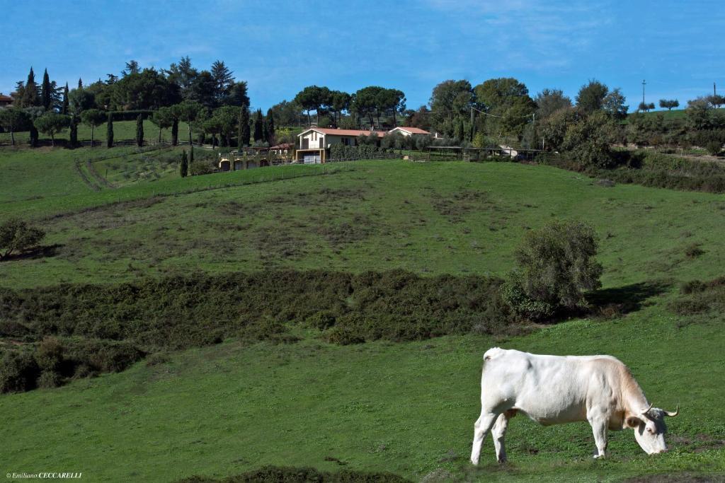 Agriturismo Valle Siriaca Castelnuovo Di Porto Exterior foto